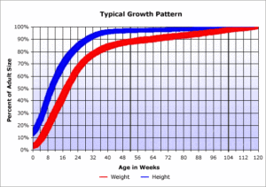 Puppy growth chart