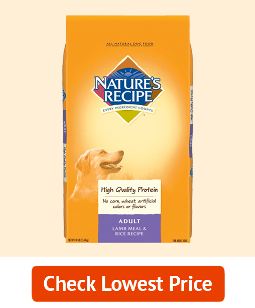 Best Cheap Dog Food - Nature's Recipe Adult Dry Dog Food