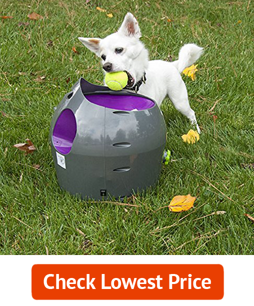#2 Tennis Ball Throwing Machine Toy for Dogs