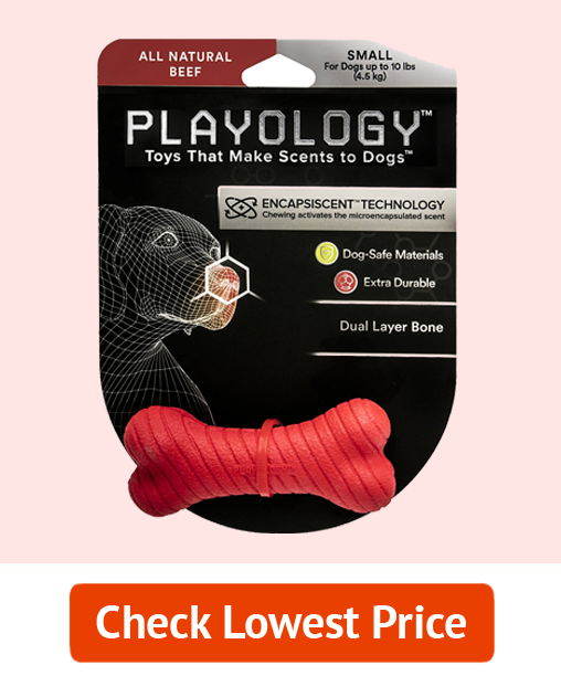 Budget Chew Toys for Dogs - Playology