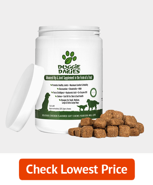 Doggie Dailies Glucosamine for Dogs Dog Supplement