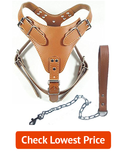 Best Leather Dog Harnesses: Dogs Kingdom 