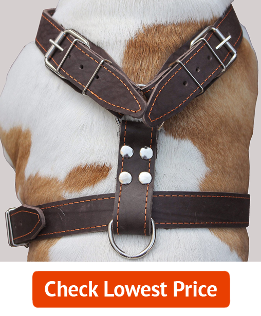 Dogs My Love Brown Genuine Leather Dog Harness
