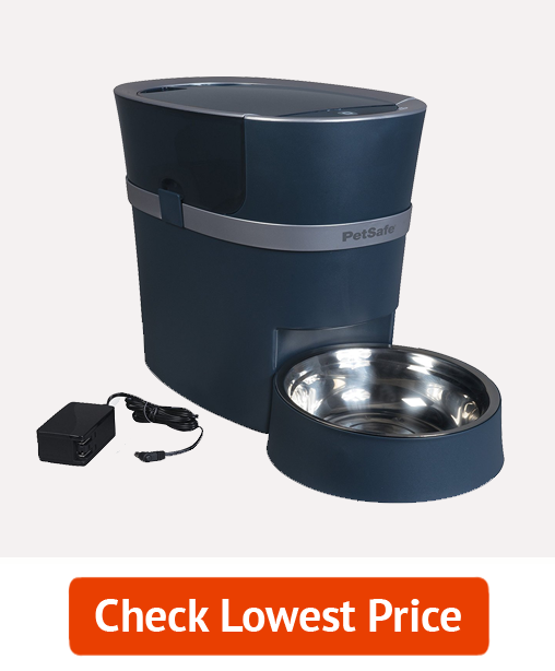 Slow Feeder Dog Bowl 