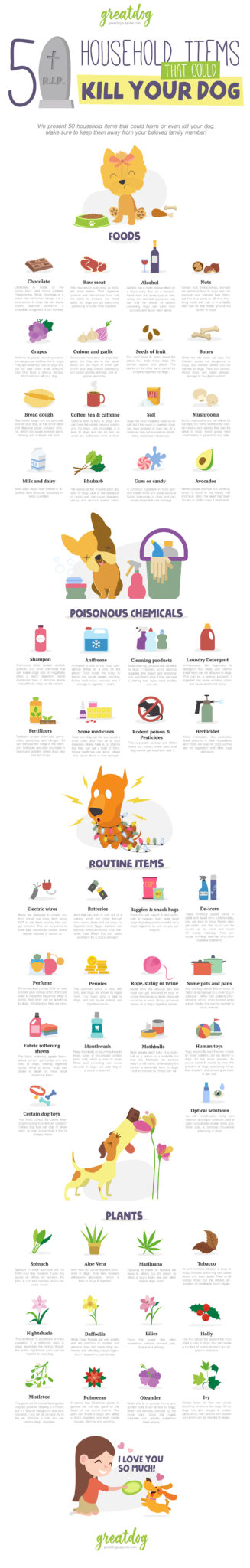 50 Household Items that Could Kill Your Dog - Infographic