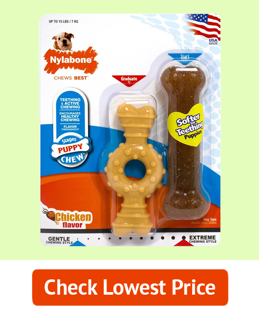 Nylabone Puppy Twin PK Ring