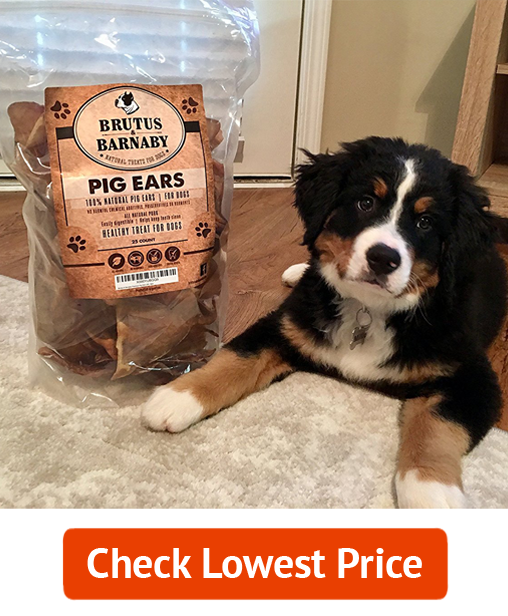 Pig Ears Dog Treats