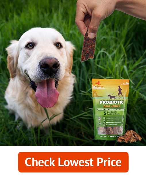 Probiotic Dog Treats