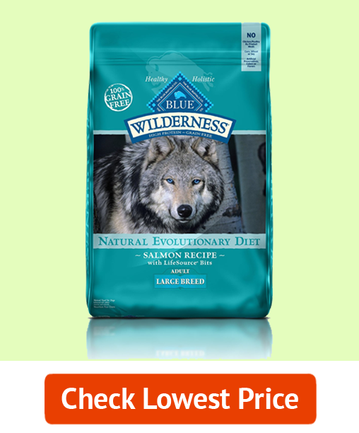 2. Best Large Breed Dog Food: BLUE Wilderness High Protein Grain Free Adult Dry Dog Food (Premium)