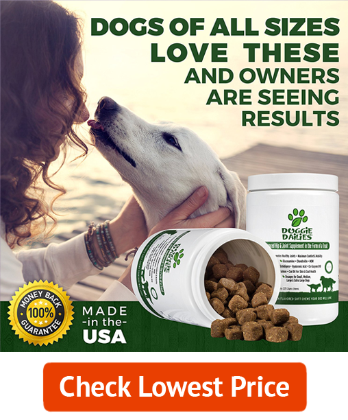 Doggie Dailies Glucosamine for Dogs