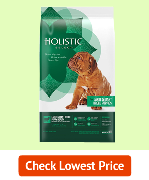 1. Best Large Dog Breed Food: Holistic Select Natural Dry Dog Food (Budget)