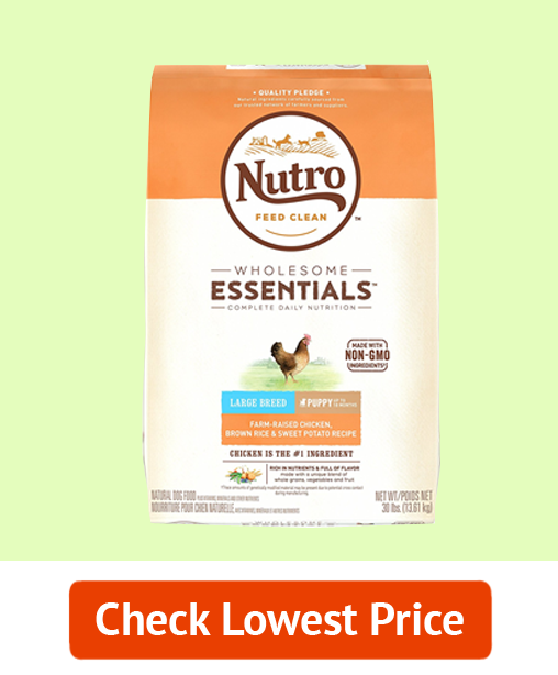 6. Best Large Breed Dog Food: NUTRO WHOLESOME ESSENTIALS Puppy Dry Dog Food (Budget)
