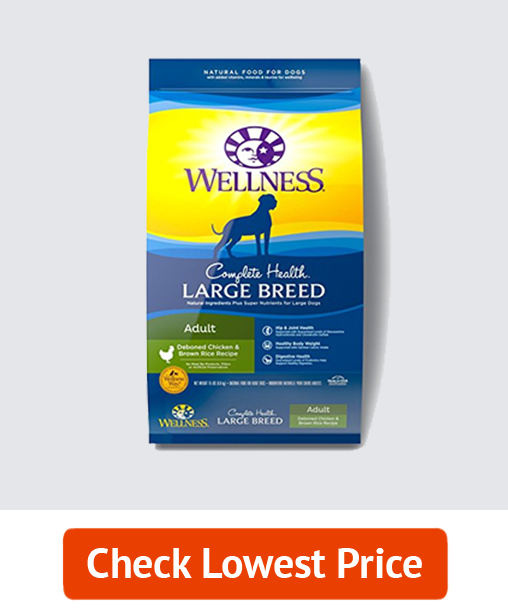 Best Large Breed Dog Food: Wellness Complete Health Natural Dry Large Breed Dog Food, Chicken & Rice, 30-Pound Bag (Budget)