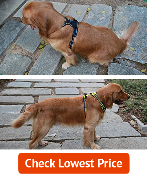 JUXZH Soft Front Dog Harness