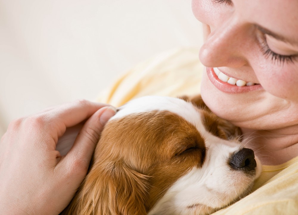 Dog cuddling with a woman